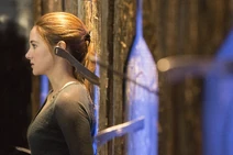 Divergent02 officialnomark