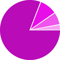 Demographic Chart - Layout