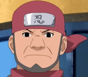 Kitsuchi HD D2