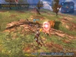 Ffxii poach