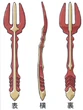NeedleFork