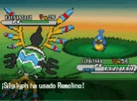 Remolino N2B2