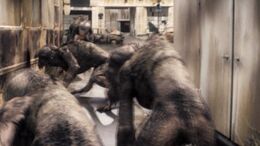 Episode3.8-creatures-1