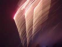 DSCF2059