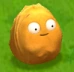 Wall-nutPVZA