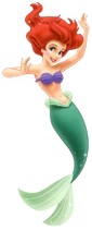 Ariel Transparent
