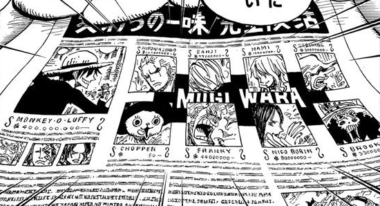 Timeskip Straw Hat News
