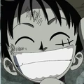 Monkey D. Luffy Impel Down Prisoner Portrait