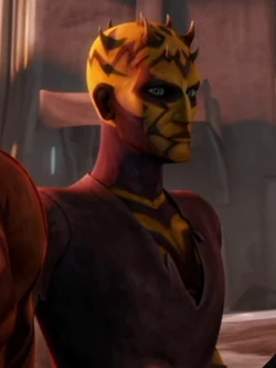 Unidentified Nightbrother Zabrak 6