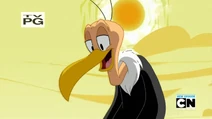 Beaky Buzzard