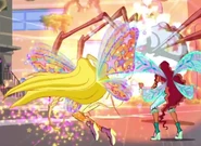 Sun dance 418