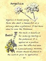 FloraHammerfell02