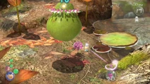 Flying Fruit