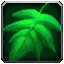 Inv pet ancientprotector spring