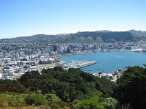 Wellington from Mount Victoria