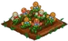 Gingerbread 66