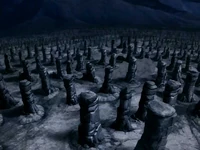 Stone pillar field
