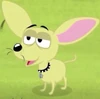 Squirt's Head