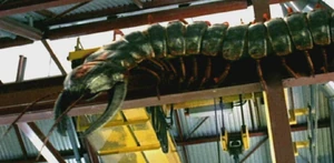 1x2arthropleura2