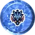 117Seadra3