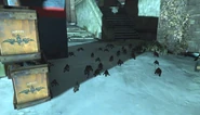 Rats5