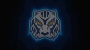 UnnamedTigerBeybladeMotif