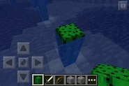 Cactus glitch MCPE