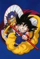 Dragon ball008