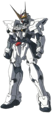 Zgmf-x12a-long