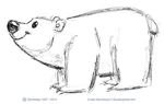 CrashBandicootPolarBear6a