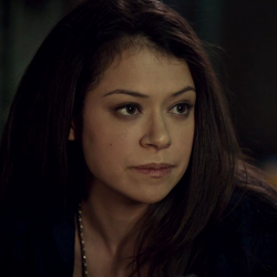 http://images1.wikia.nocookie.net/__cb20130604133228/orphanblack/images/thumb/f/fd/Sarah.png/250px-Sarah.png