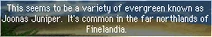 Finelandia