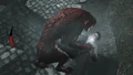 Alex kicks feral