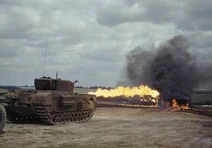 Churchill Crocodile