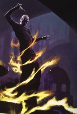 Voldyring