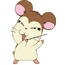 Cerebrin