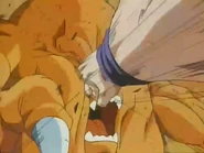 Goku punched Ponkarn