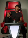 The Voice - Usher
