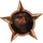 Sangre Nueva