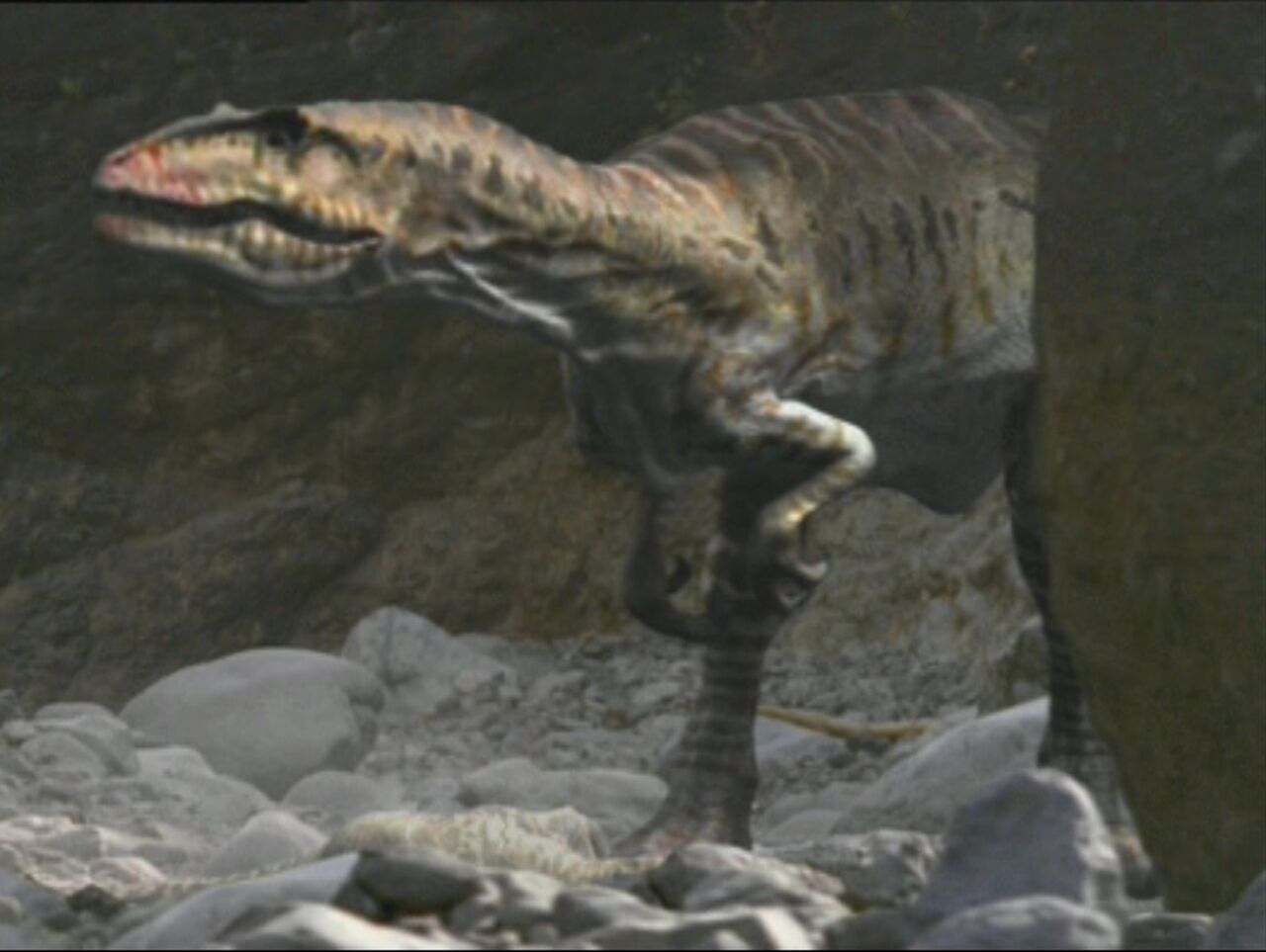 dinotopia giganotosaurus