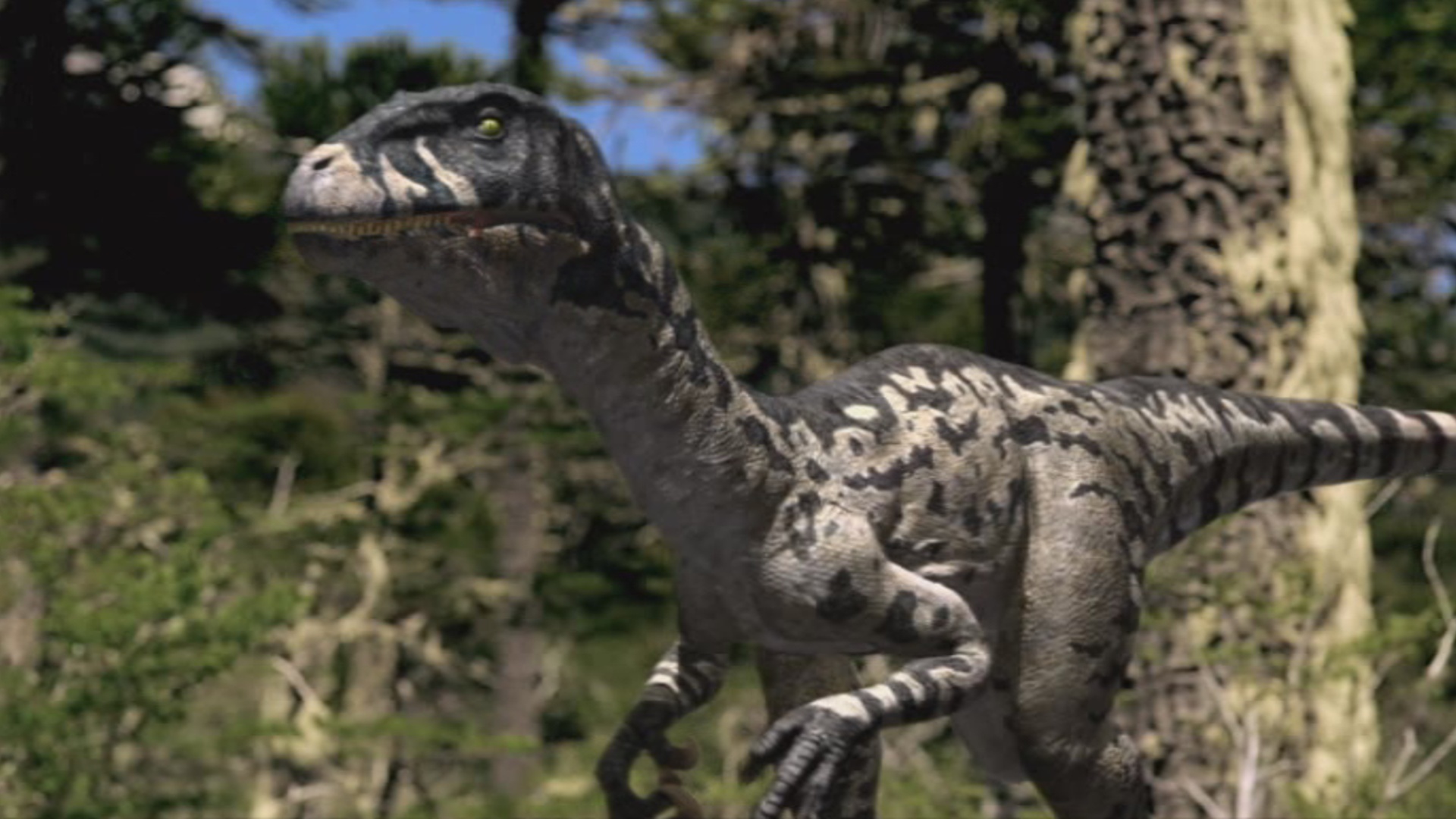 dino dan dromaeosaurus