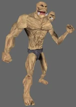 NwN Ettin