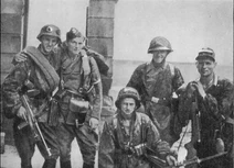 Polish home army