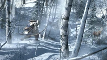 Connor's bow