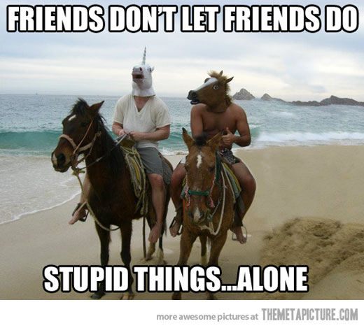 Funny-friends-horse-mask.jpg