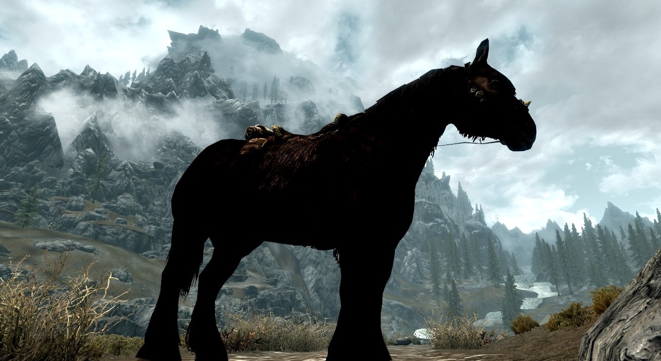 Horse (Skyrim) The Elder Scrolls Wiki