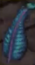 Peacock feather