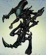 Gold Xenos