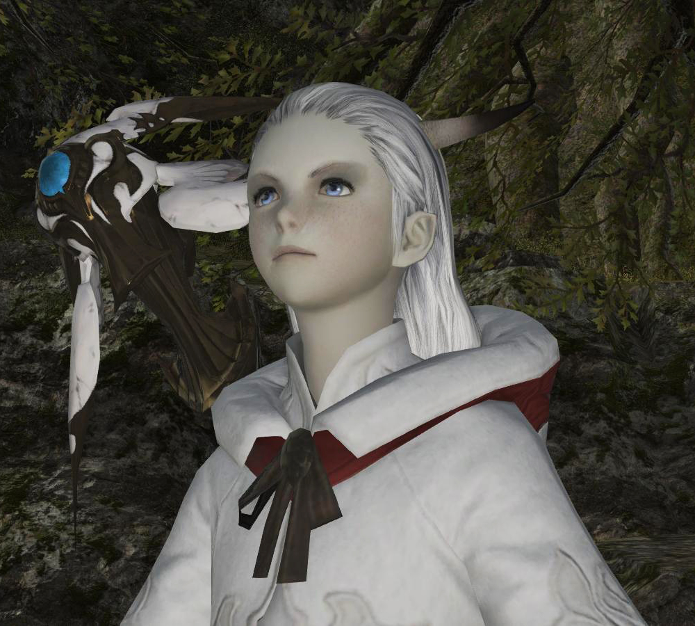 Ffxiv padjal