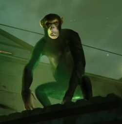 Monkey-GTAV
